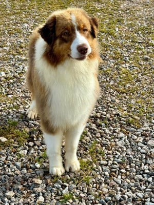 US Philadelphia du Duncallipsy