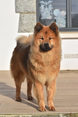 image de Utah sam'izaac