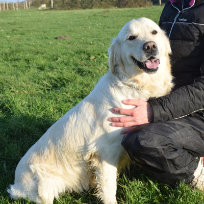 Une douceur comme plume Du Jardin Celte