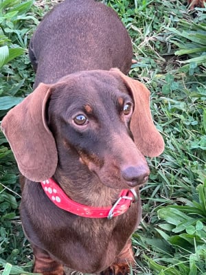 image de Spin Me Round