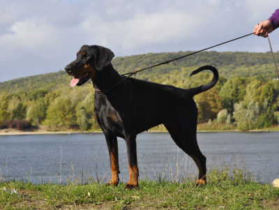 T'Kira capax infiniti