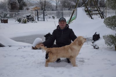 UNA STORIA IMPORTANTE De la valéée des jolis chênes