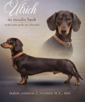 Ulrich Du Moulin Sault