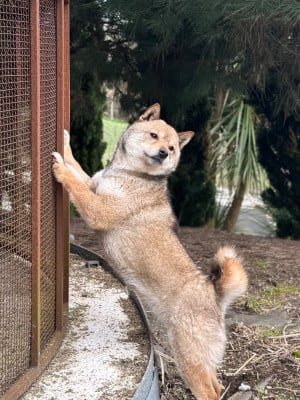 VERTIGE du Domaine du Clos Benoît