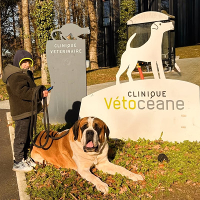 CH. U2 Star Of Eemona