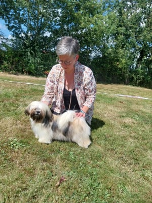 weasel's Ultra Violette