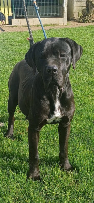 Vénora Du Clos des Trois Rivières