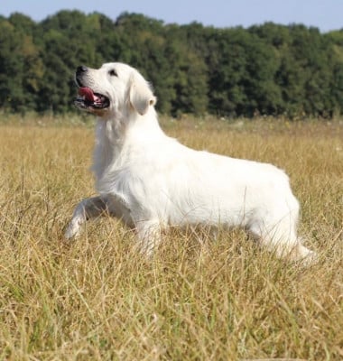 Ultra Des Terres De L'Avesnois