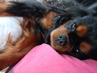 Thaïs Du Val De La Vezere