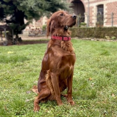 Tilt du domaine de loumadpau