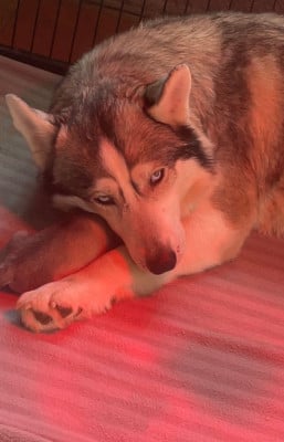 Una du Domaine D'Eily