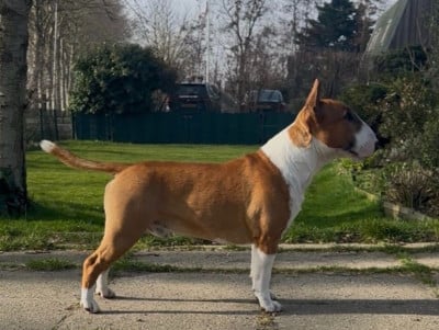 image de TAKE IT EASY @ HAPPY LITTLE FELLOWS