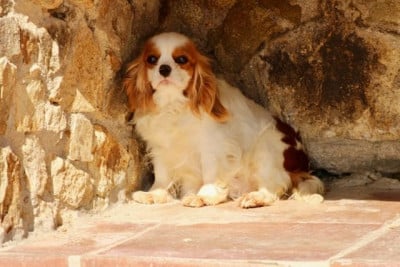 VROUM de la Bastide du Jas de Jeromes