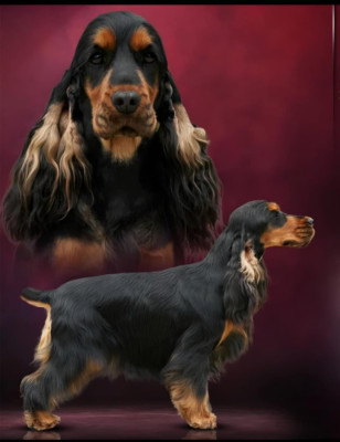 la scale Unconditional Love