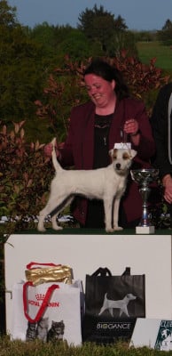 upside down du pont du riot d'Esnes