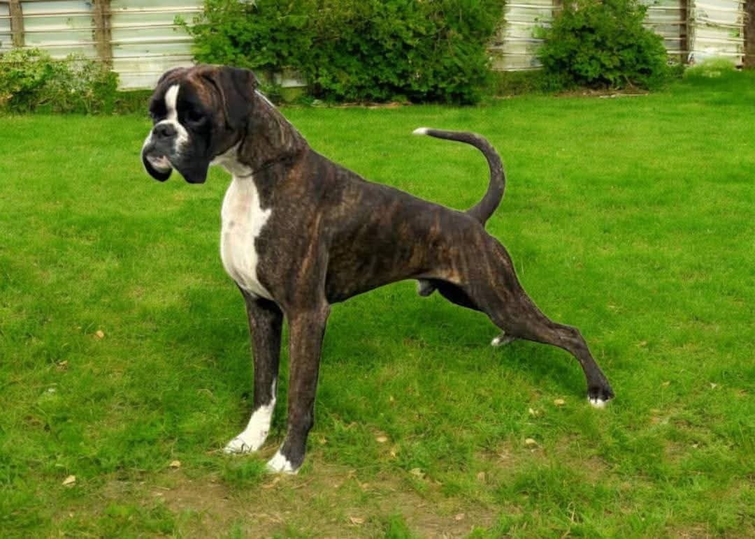 Uukyo des hauts de soyons