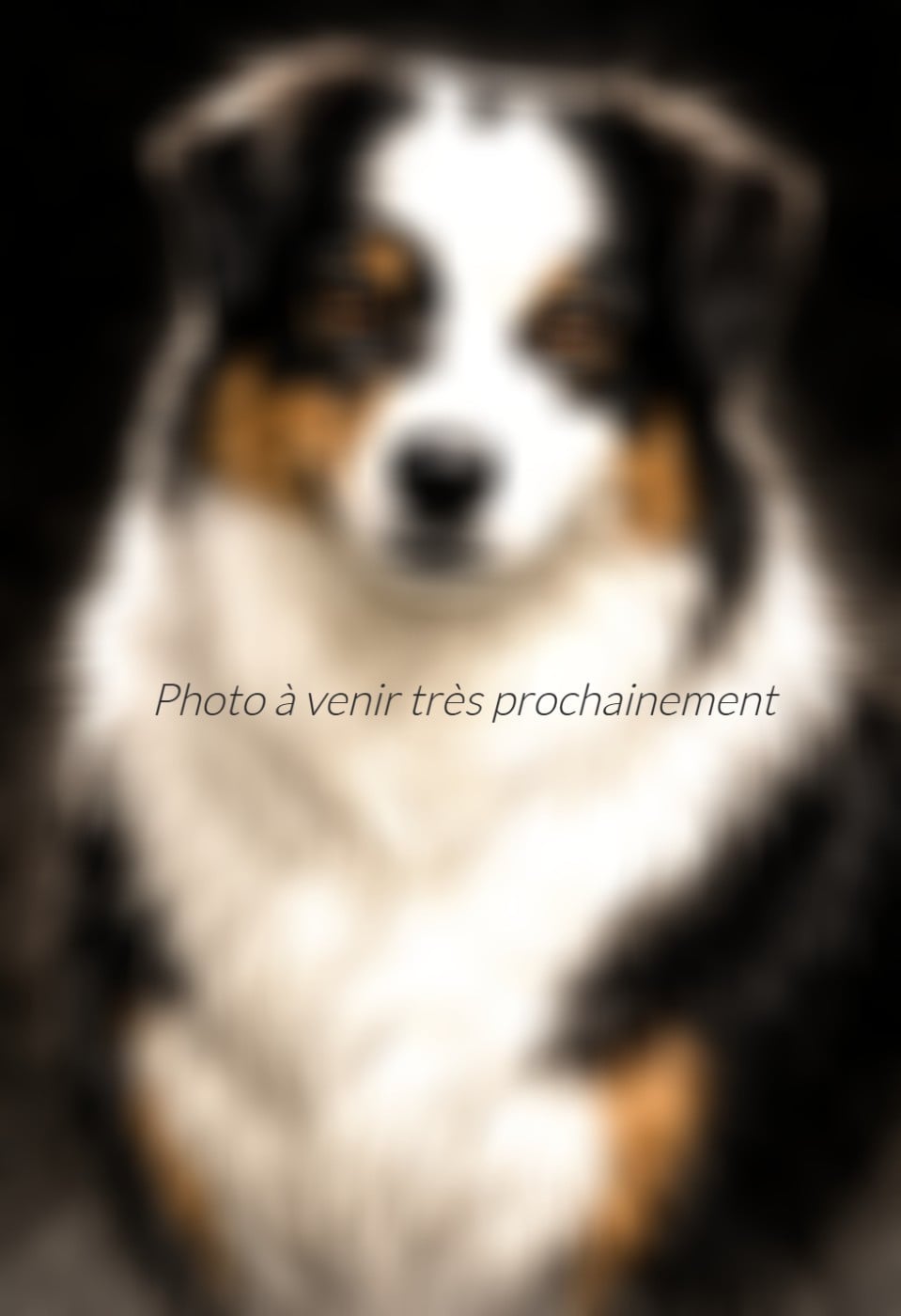 Publication : de la Dune d'Ozalee 