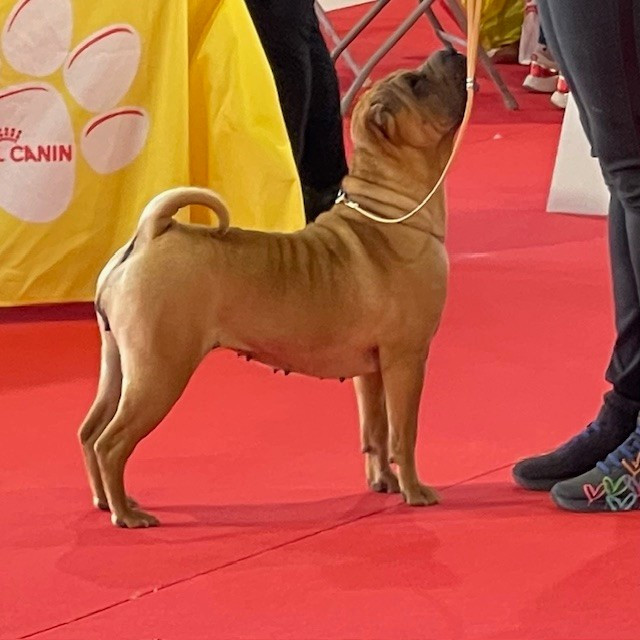 Publication : des Plis Malicieux