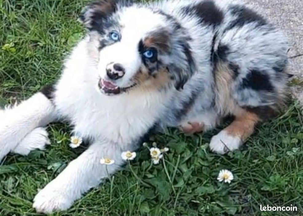 Publication : de gens de garonne 