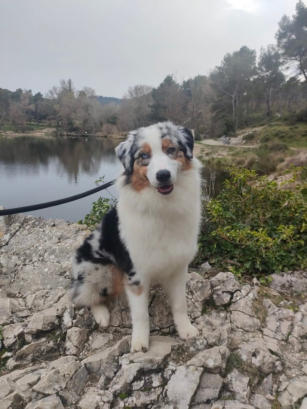 Publication : du Jardin des Heliades 