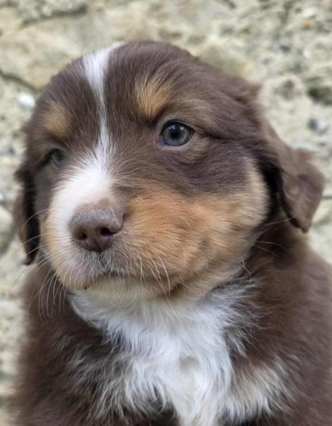 Publication : de gens de garonne 