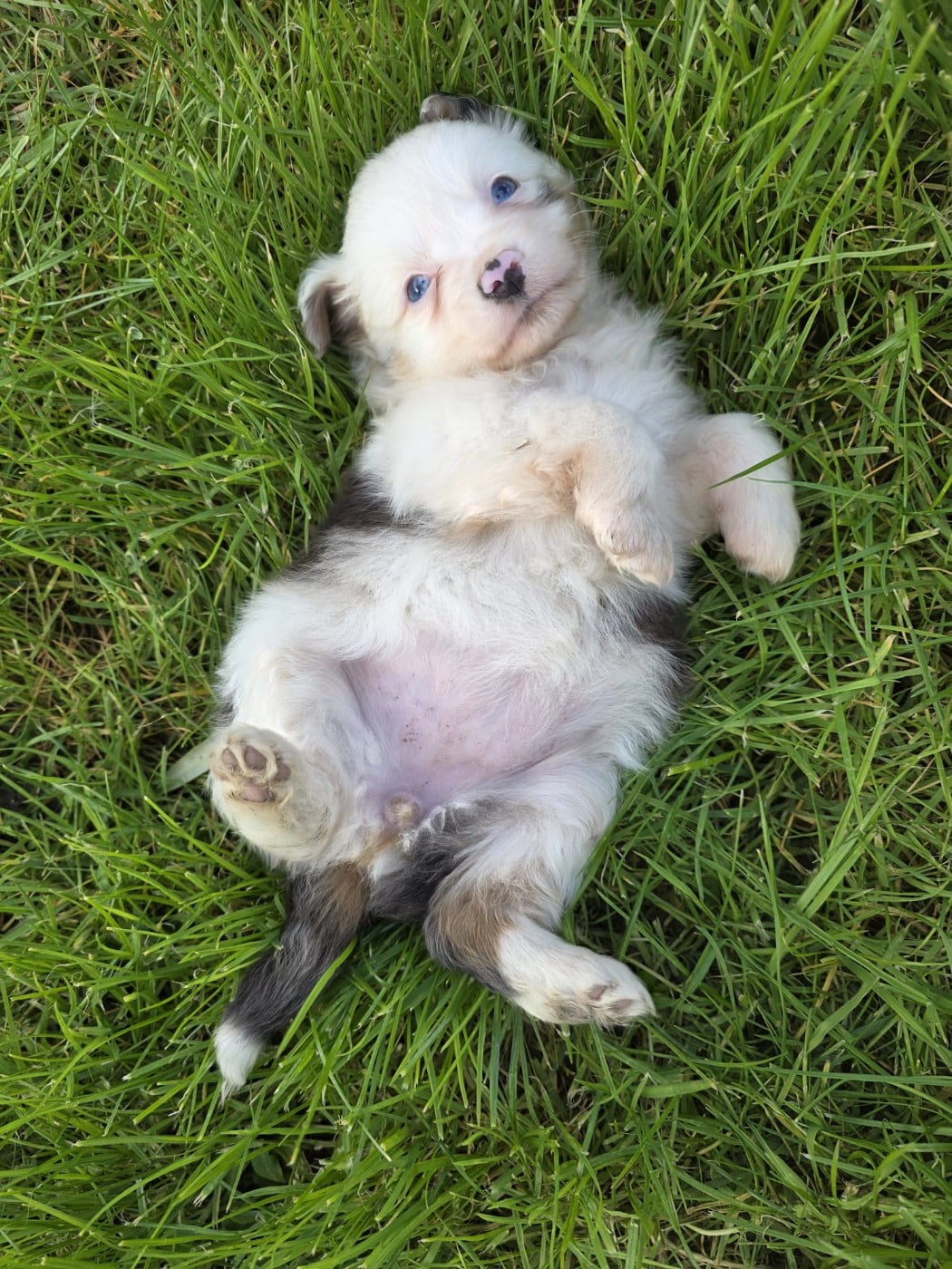 Publication : de gens de garonne 