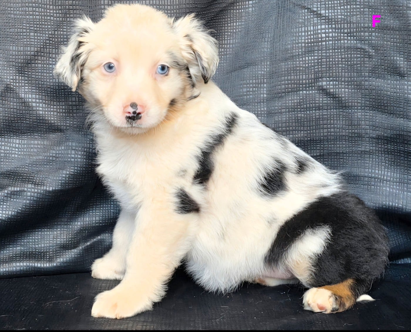 Publication : de gens de garonne 