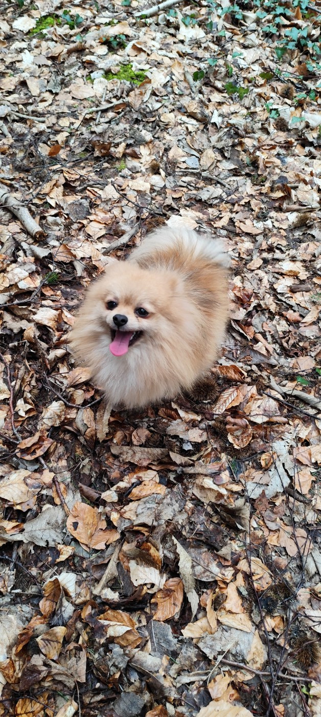 Publication : Des Merveilles De La Nature