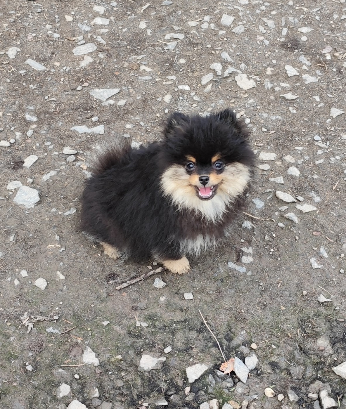 Publication : Des Merveilles De La Nature