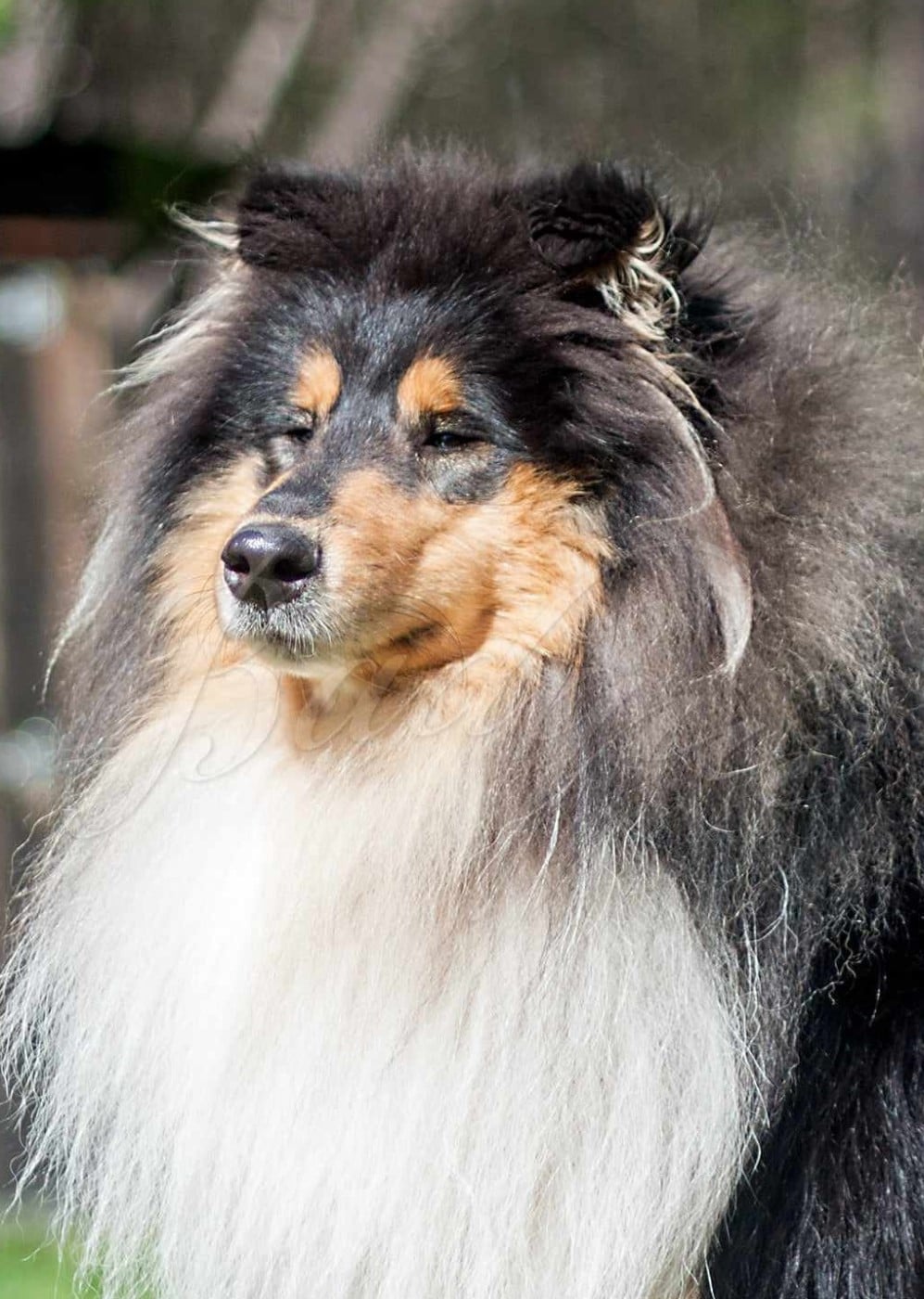 Publication : de Remember our Love 