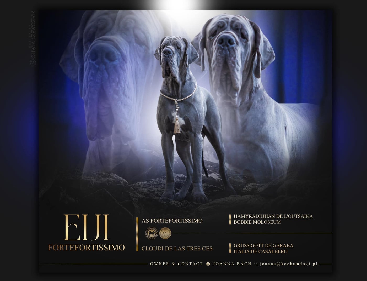 Eiji fortefortissimo