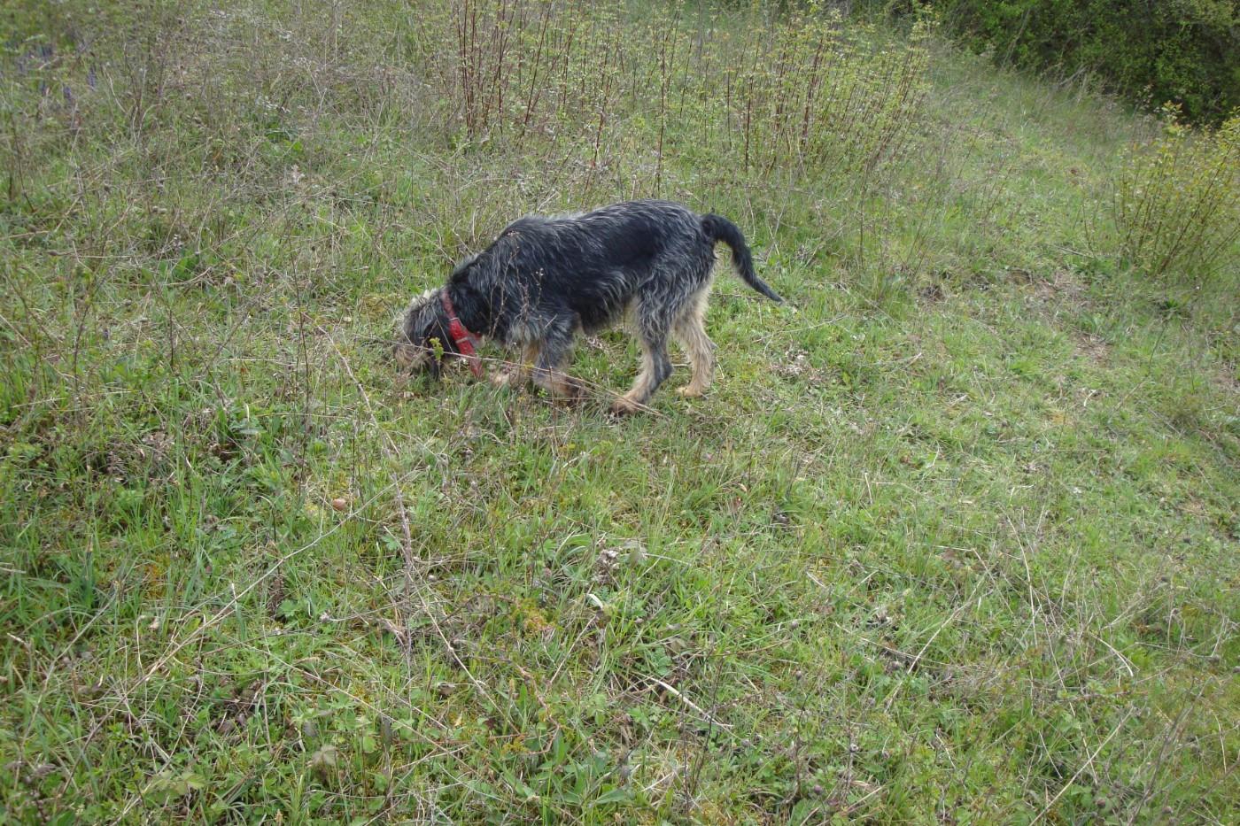 Publication : de la mouline 