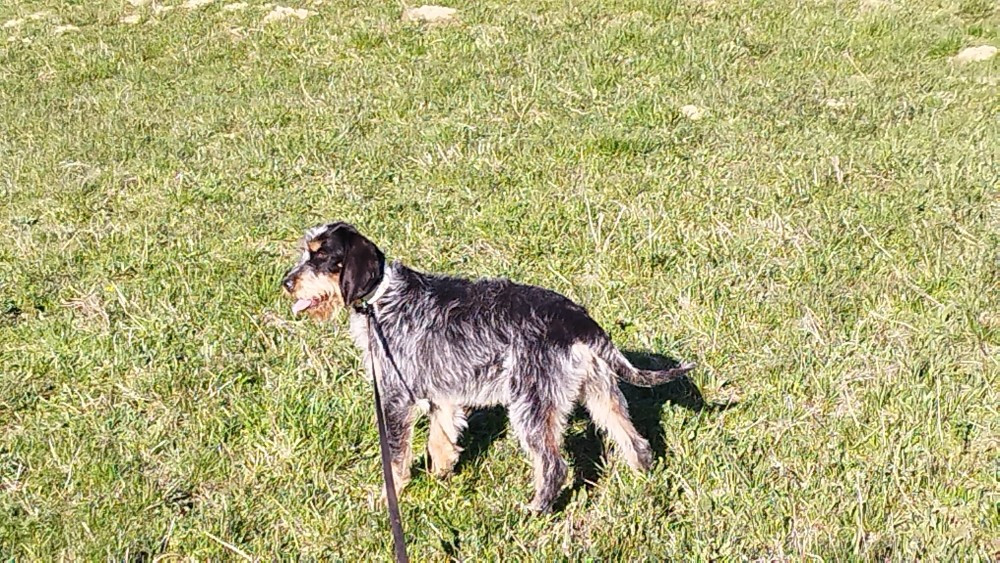 Publication : de la mouline 