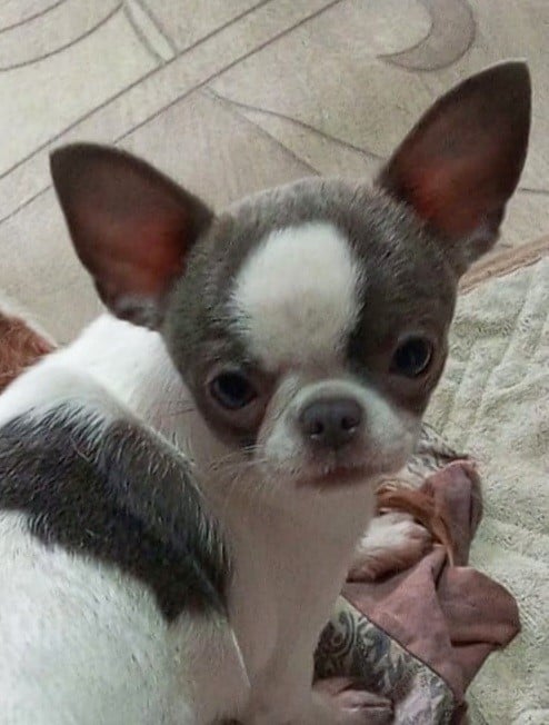 Gratsiya (Sans Affixe)