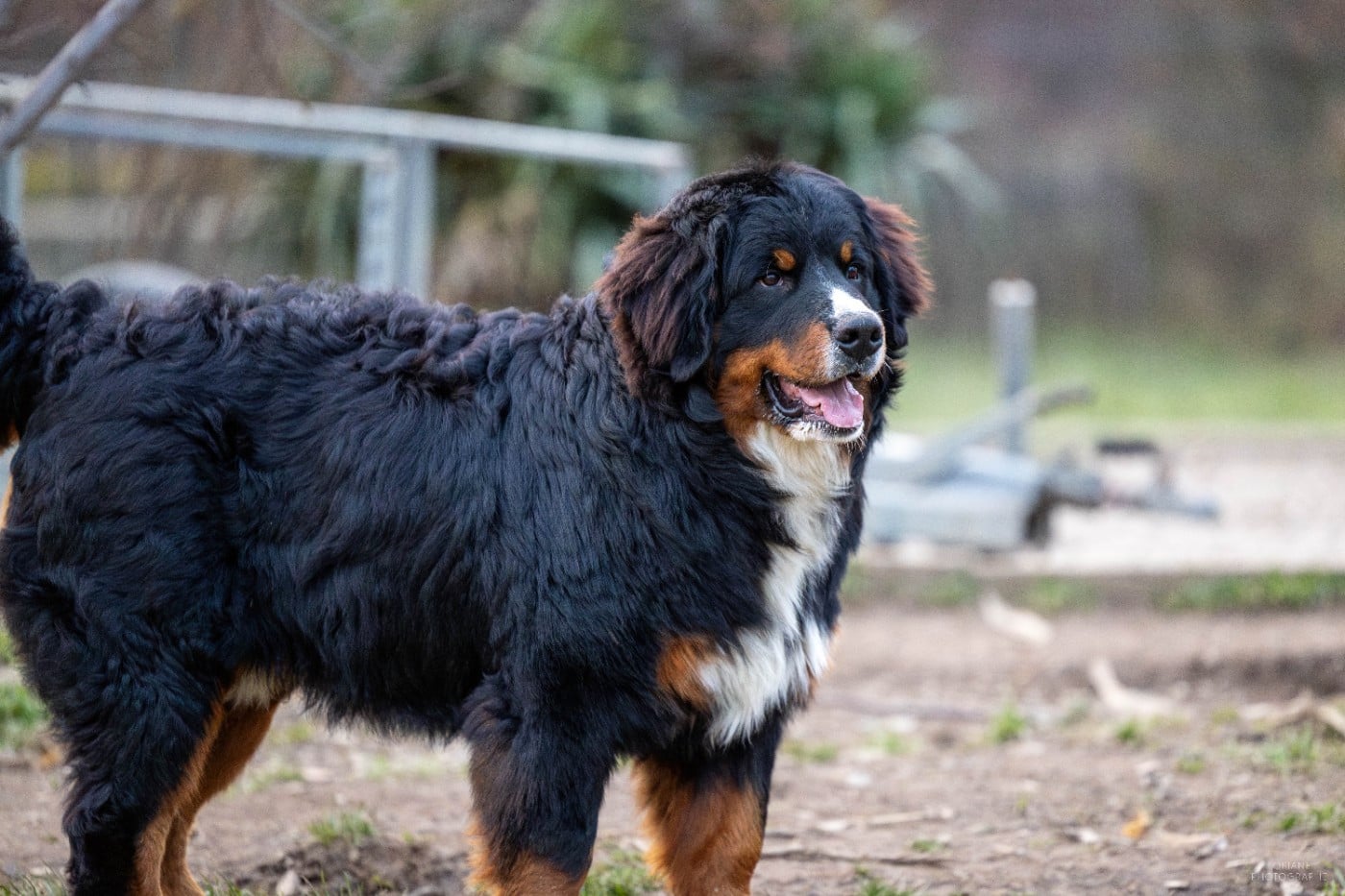 Publication : de la Lumière d'Eden 