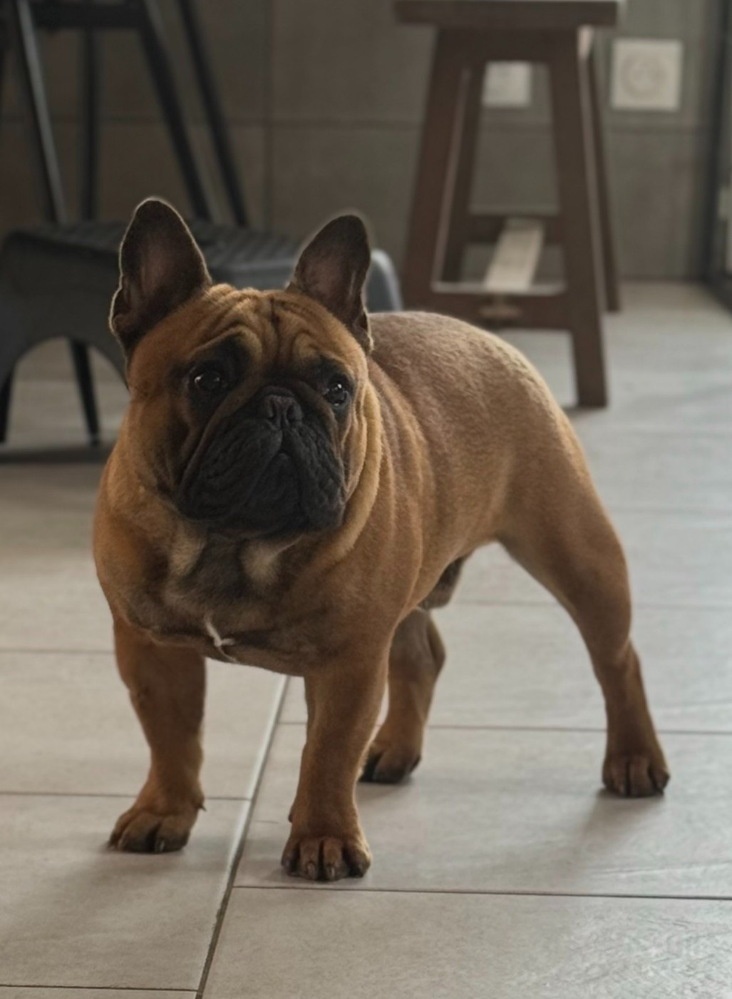 Publication : De La Fougue Du Marais 