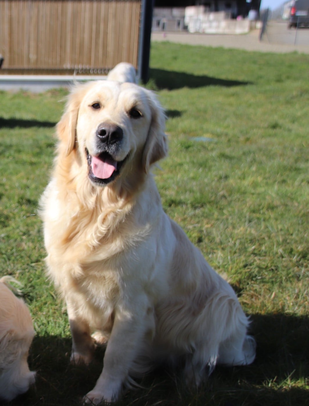 Publication : De La Lisardière