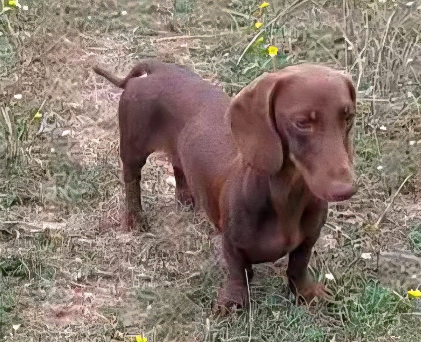 Publication : of Mayron and Co 