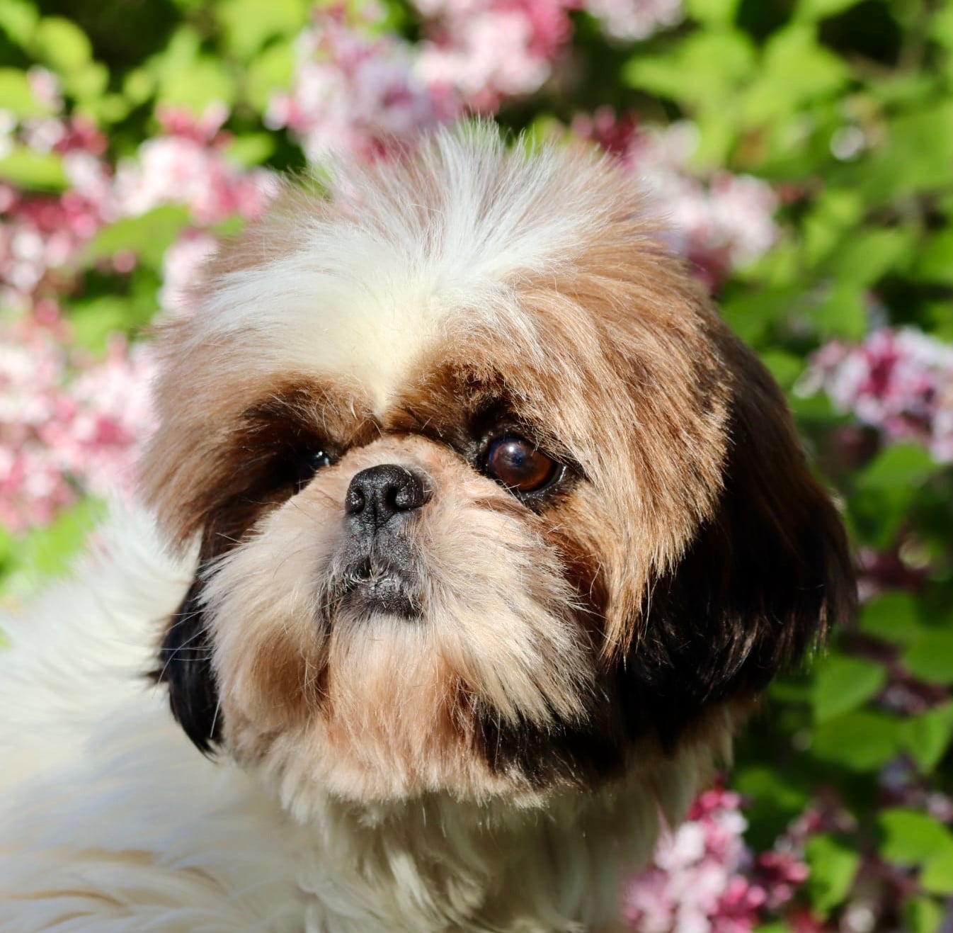 Publication : De La Baronnerie Des Cuillerdier 