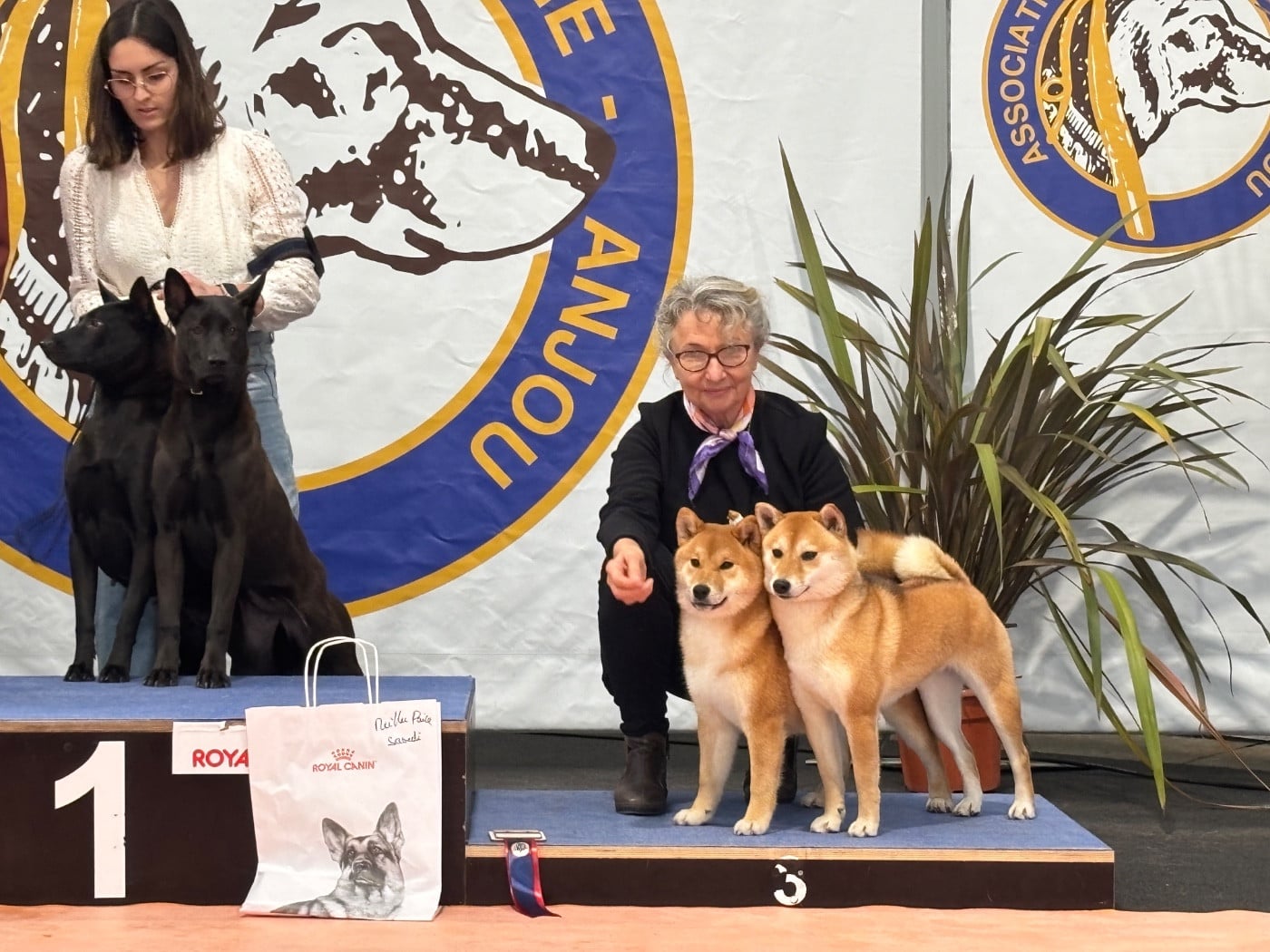 Publication : du Cèdre Enchanté 