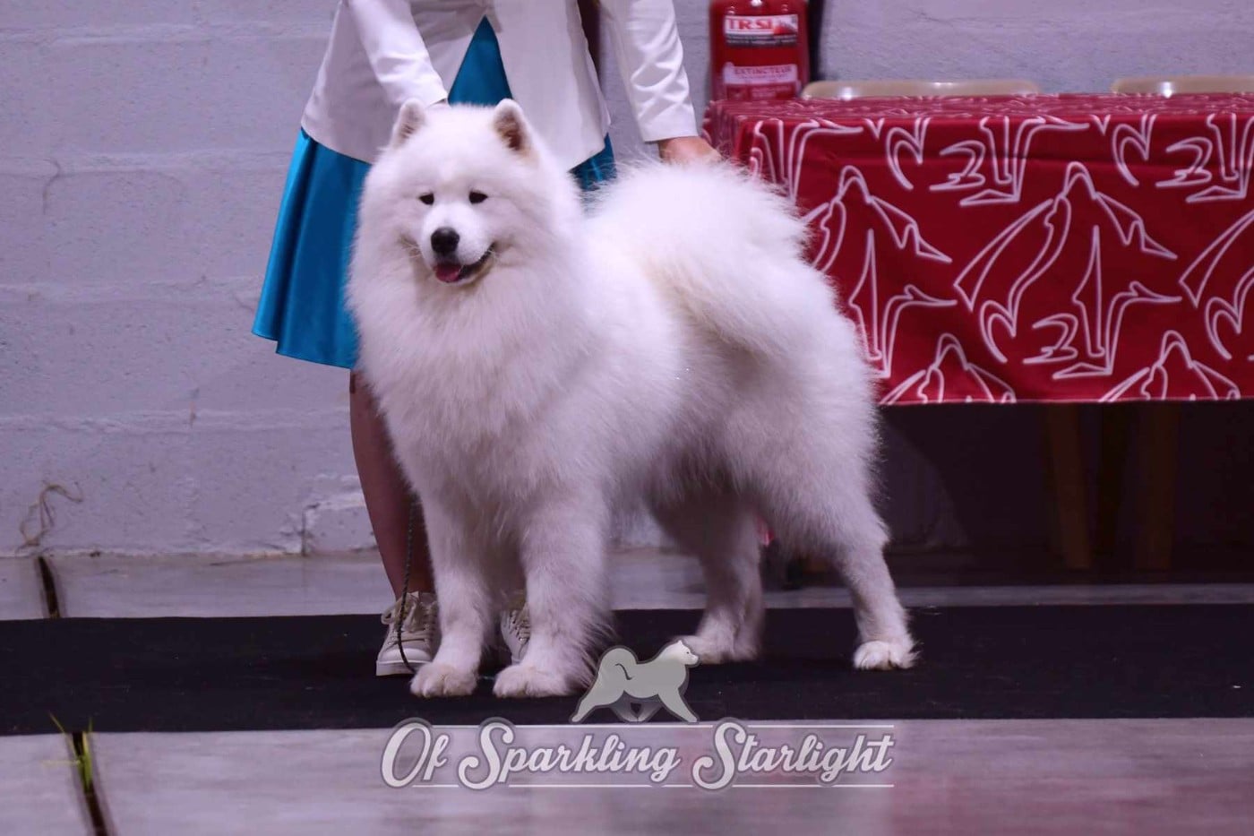 Publication : of Sparkling Starlight