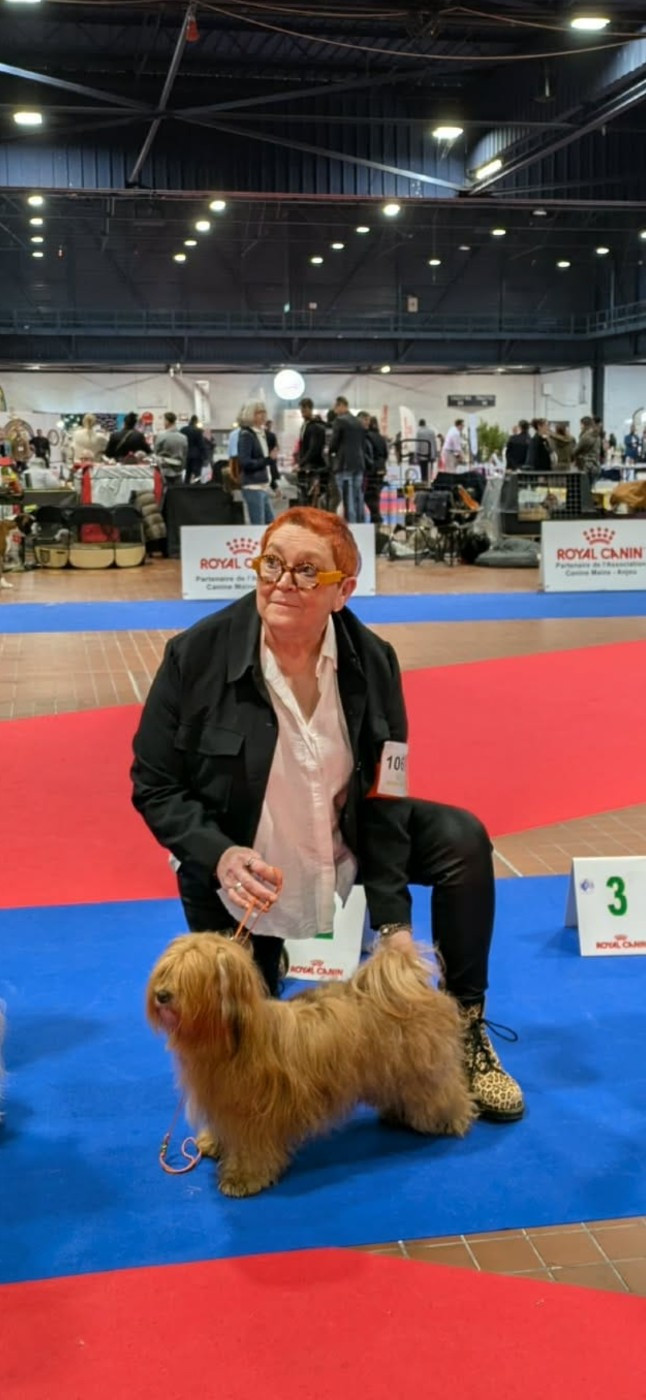 Victoire Du Rocher De La Haute Vilaine