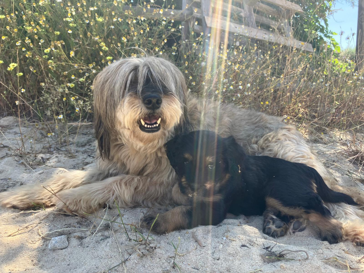 Publication : Titre Initial 