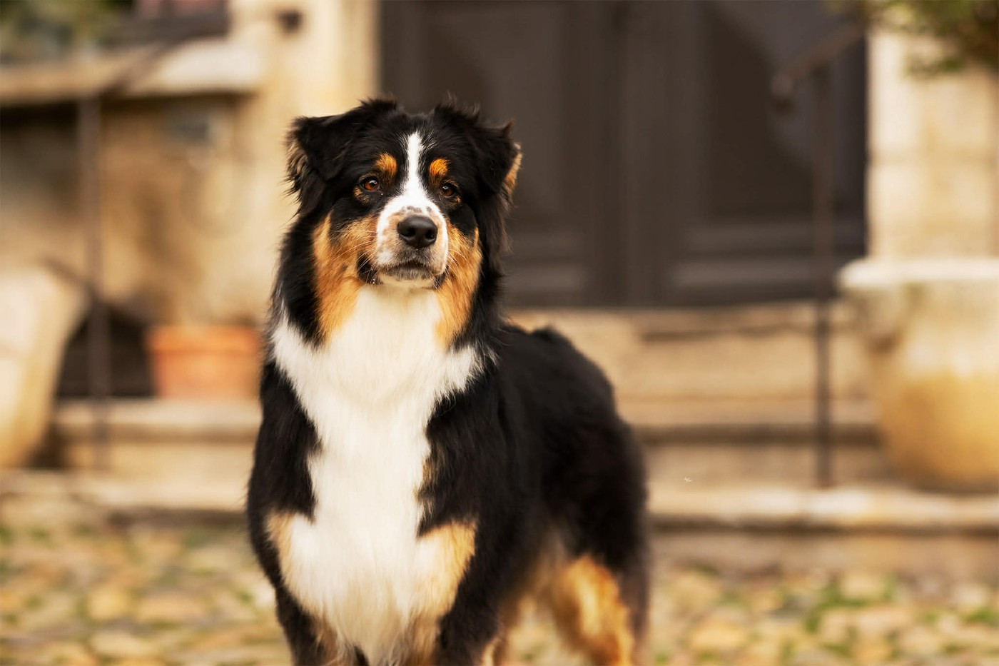 Publication : Shine Ever 