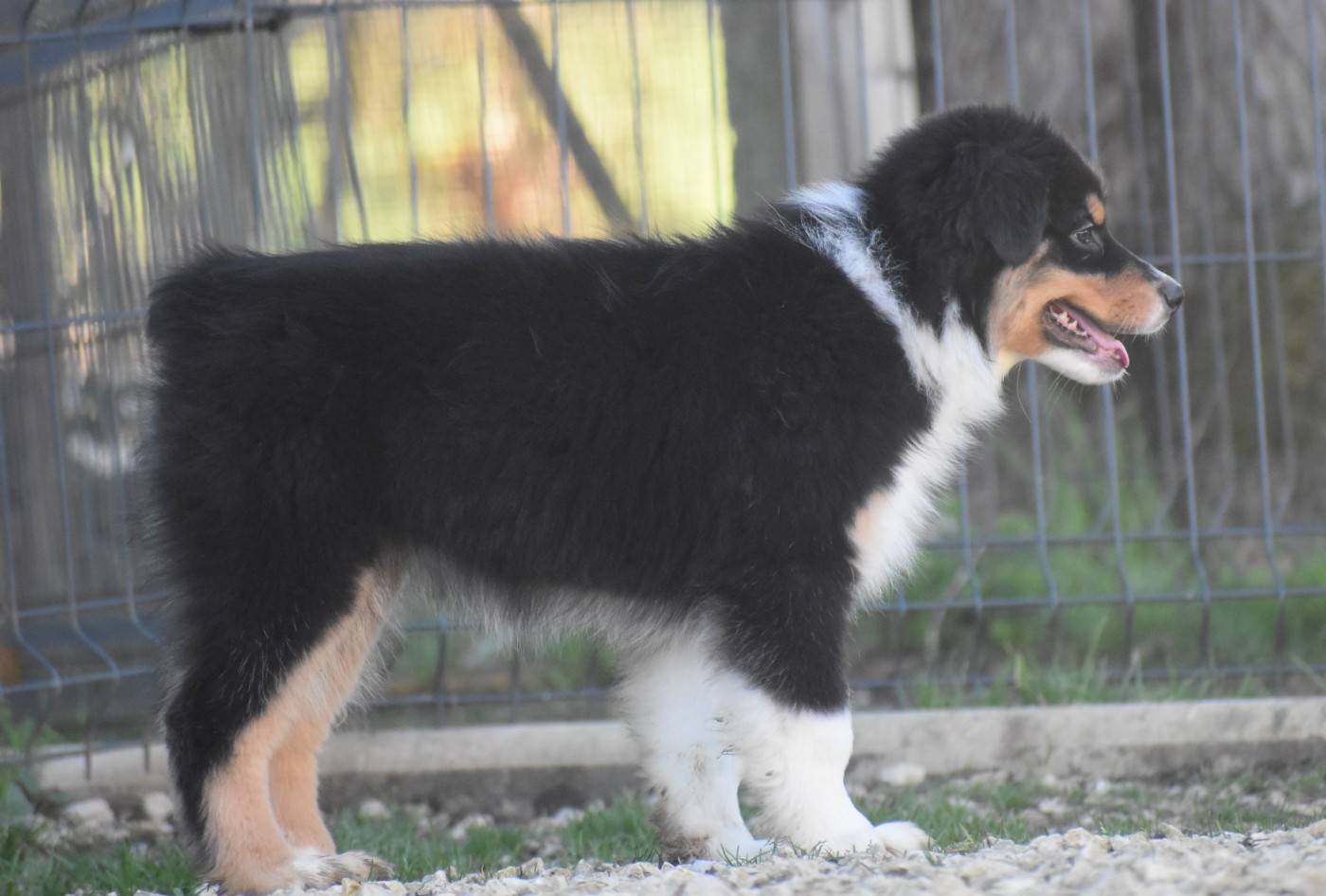 Publication : Of Black Pearl Spirit 