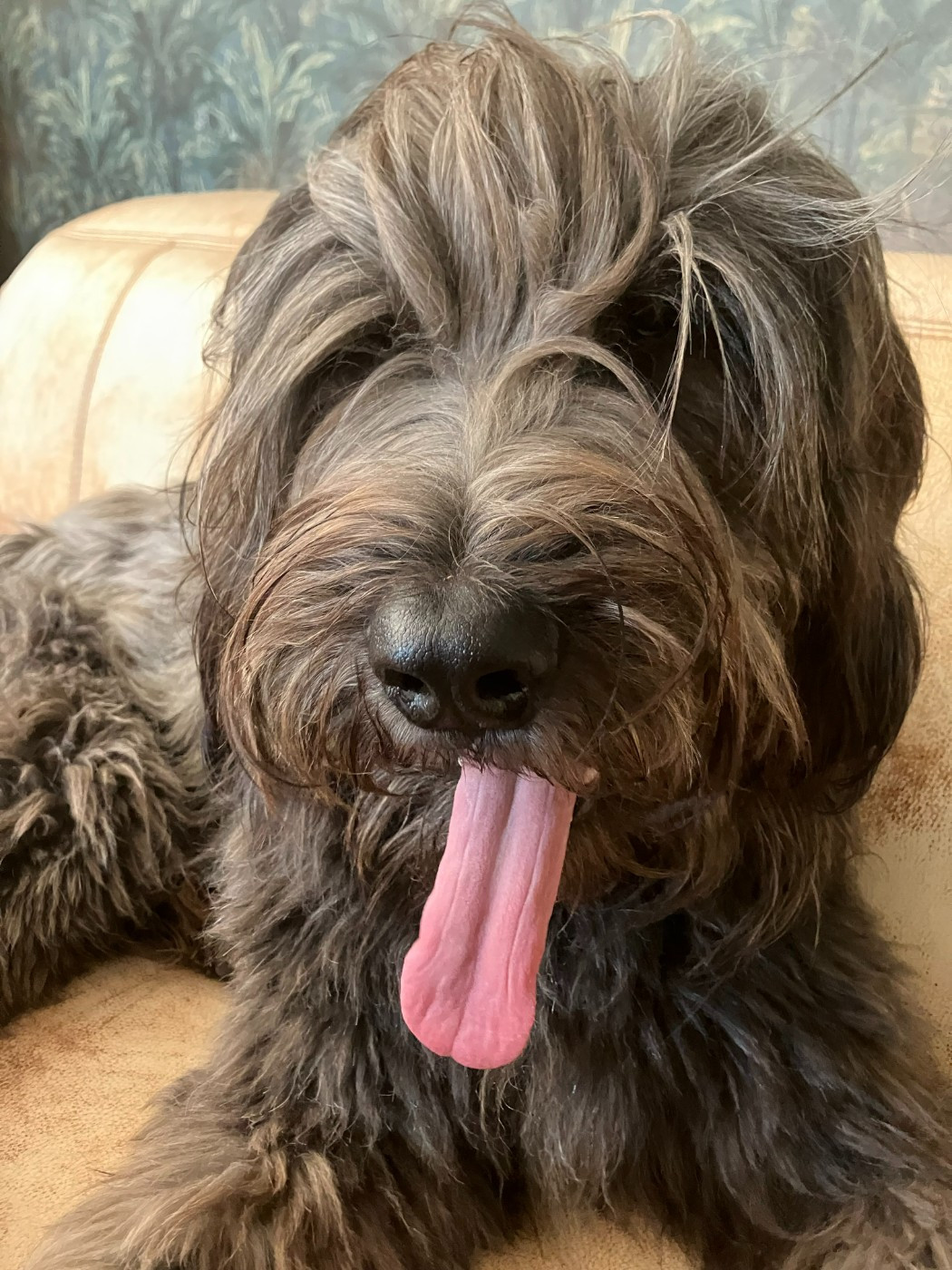 Publication : Des Feuilles Bleues 