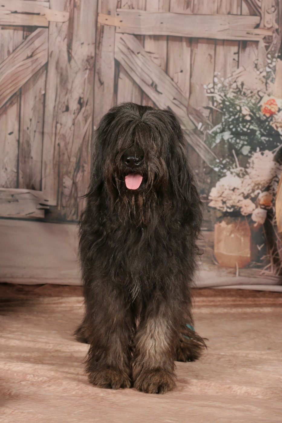 Publication : Des Feuilles Bleues 