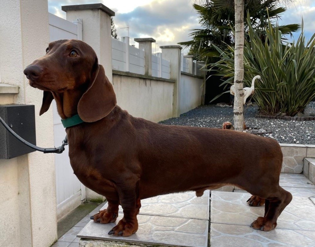 Publication : Au Domaine D’Osaki 