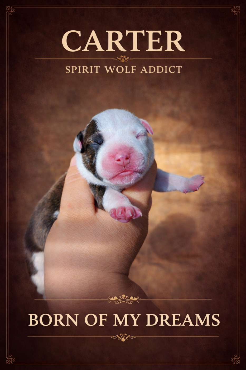Publication : Spirit Wolf Addict 