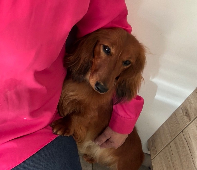 Publication : de la croix du domaine du thuis Auteur : MCLL